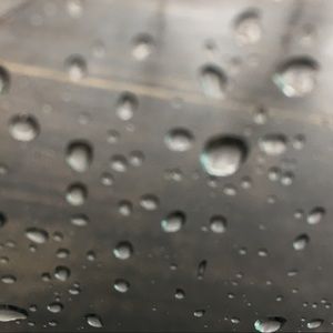 Meet your Posher, Skorpyen